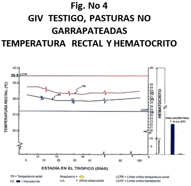 Control de la babesiosis y anaplasmosis en terneras introducidas en el tropico de Pucallpa - Peru - Image 8