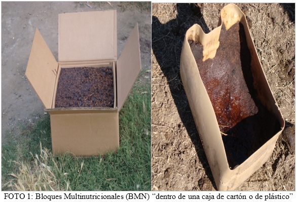 BLOQUES MULTUNUTRICIONALES: Una alternativa balanceada para aprovechar recursos de baja calidad - Image 2