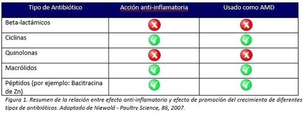 Bacillus subtilis 29784: cepa específica que garantiza beneficios anti-inflamatorios a las moléculas mejoradoras de desempeño - Image 1