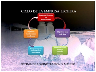 Manejo exitoso de la lecheria programa integral de organización y desarrollo de empresas lecheras - Image 1