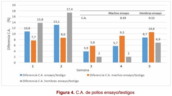 Acción de la apitoxina en la biosíntesis de cortisol y su efecto en el comportamiento productivo de pollos broiler - Image 6