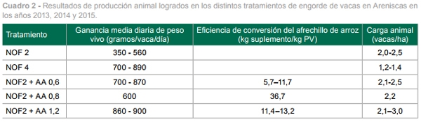 Propuestas para el engorde de vacas de descarte - Image 3
