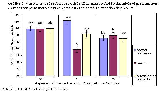 Vacas lecheras de alta producción relación entre nutrición – metabolismo e inmunidad en el periodo de transición - Image 10
