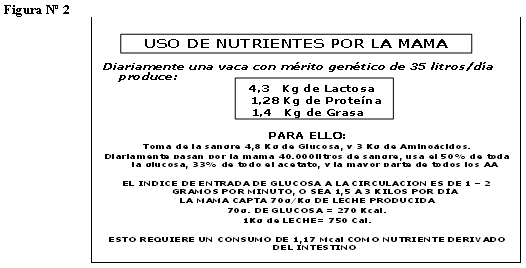 Vacas lecheras de alta producción relación entre nutrición – metabolismo e inmunidad en el periodo de transición - Image 3