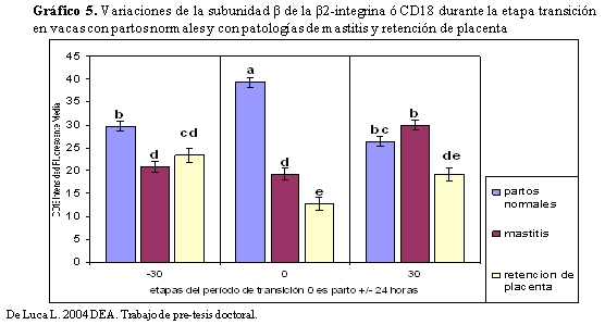 Vacas lecheras de alta producción relación entre nutrición – metabolismo e inmunidad en el periodo de transición - Image 9