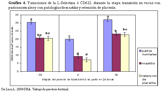 Vacas lecheras de alta producción relación entre nutrición – metabolismo e inmunidad en el periodo de transición - Image 8