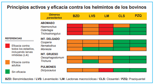 Parasitosis gastrointestinal en bovinos de carne - Image 9