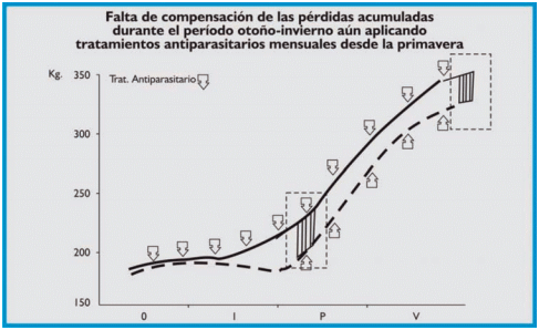 Parasitosis gastrointestinal en bovinos de carne - Image 6