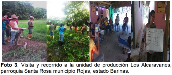 Bancos mixtos forrajeros como estrategia para el rescate de semillas e impulso de la endogenológica - Image 3