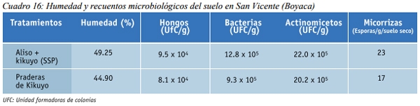 Los Sistemas Silvopastoriles como estrategia de ganadería ecológica y productiva en Colombia - Image 1