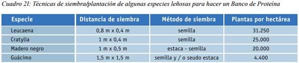 Banco de Proteína de especies leñosas - Image 1
