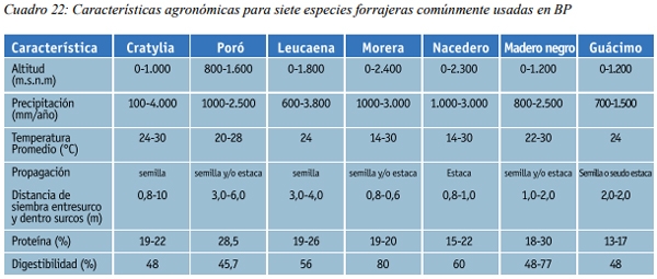 Banco de Proteína de especies leñosas - Image 2