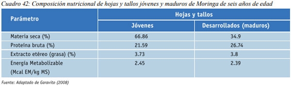 Especies arbóreas y arbustivas más utilizadas en la alimentación de rumiantes Arbustos y especies arbóreas - Image 22