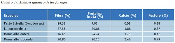 Especies arbóreas y arbustivas más utilizadas en la alimentación de rumiantes Arbustos y especies arbóreas - Image 17