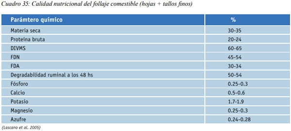 Especies arbóreas y arbustivas más utilizadas en la alimentación de rumiantes Arbustos y especies arbóreas - Image 13
