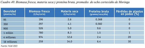 Especies arbóreas y arbustivas más utilizadas en la alimentación de rumiantes Arbustos y especies arbóreas - Image 20