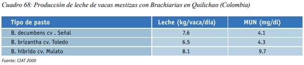 Especies forrajeras adaptadas al Sistema Silvopastoril Características deseables de una especie forrajera para un SSP Gramíneas perennes - Image 17