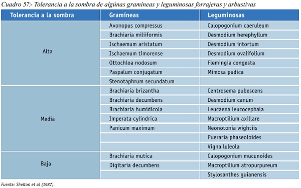 Especies forrajeras adaptadas al Sistema Silvopastoril Características deseables de una especie forrajera para un SSP Gramíneas perennes - Image 1