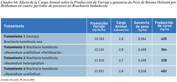 Especies forrajeras adaptadas al Sistema Silvopastoril Características deseables de una especie forrajera para un SSP Gramíneas perennes - Image 13