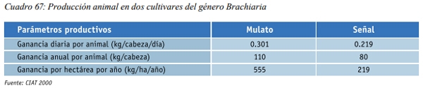 Especies forrajeras adaptadas al Sistema Silvopastoril Características deseables de una especie forrajera para un SSP Gramíneas perennes - Image 16
