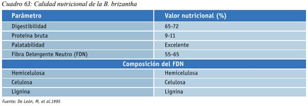 Especies forrajeras adaptadas al Sistema Silvopastoril Características deseables de una especie forrajera para un SSP Gramíneas perennes - Image 12