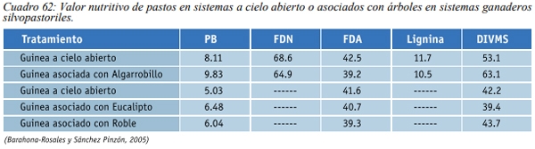 Especies forrajeras adaptadas al Sistema Silvopastoril Características deseables de una especie forrajera para un SSP Gramíneas perennes - Image 11