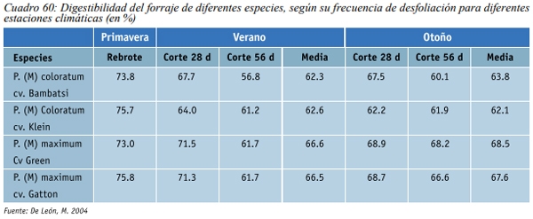 Especies forrajeras adaptadas al Sistema Silvopastoril Características deseables de una especie forrajera para un SSP Gramíneas perennes - Image 4
