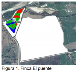Manejo Agronómico por Ambientes. Para cerrar la brecha de productividad - Image 1