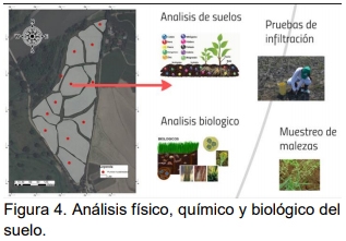 Manejo Agronómico por Ambientes. Para cerrar la brecha de productividad - Image 4