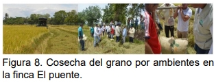 Manejo Agronómico por Ambientes. Para cerrar la brecha de productividad - Image 10