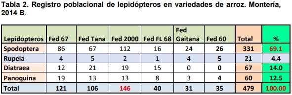 Observaciones bioecológicas de los barrenadores en el cultivo de arroz - Image 8