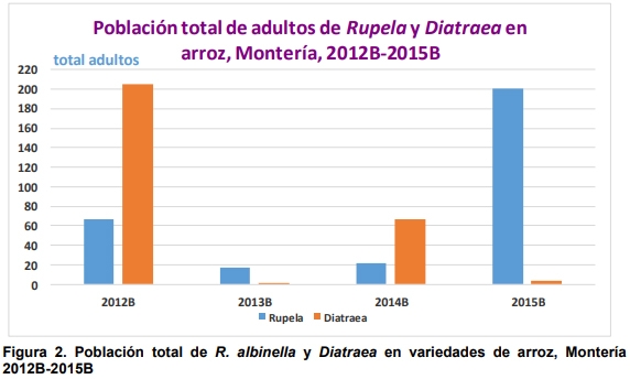 Observaciones bioecológicas de los barrenadores en el cultivo de arroz - Image 9