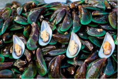 Proteínas derivadas del Mar - Image 1