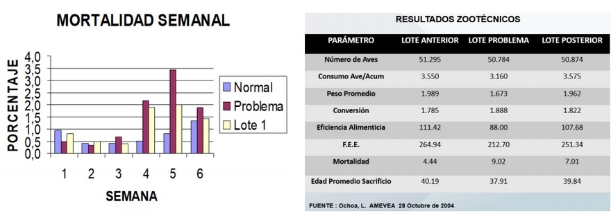 Sistema integral de evaluación de lesiones a la necropsia - SIEN - Image 14