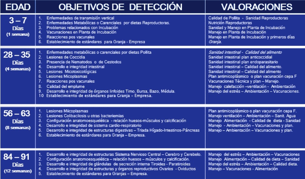 Sistema integral de evaluación de lesiones a la necropsia - SIEN - Image 3