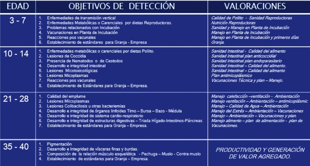 Sistema integral de evaluación de lesiones a la necropsia - SIEN - Image 1