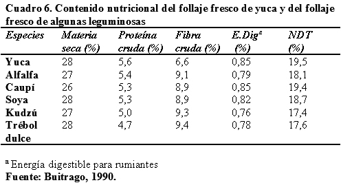 La yuca (manihot sculenta) como suplemento alimenticio para rumiantes y otras especies animales - Image 8