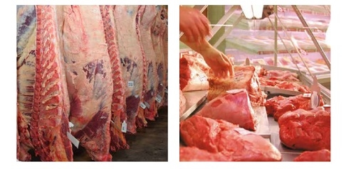 Recría en isla + engorde a corral: La ecuación ideal de calidad + rentabilidad - Image 2
