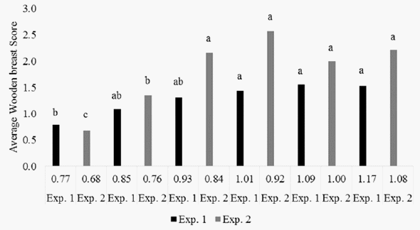 Nutrición y miopatías de la pechuga - Image 4