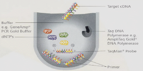 Biotecnología: Una arma eficaz ante el reto del vPRRS (Parte I) - Image 3