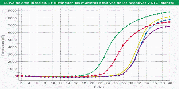 Biotecnología: Una arma eficaz ante el reto del vPRRS (Parte I) - Image 6