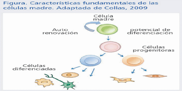 Biotecnología: una arma eficaz ante el reto del vPRRS (Parte II) - Image 7