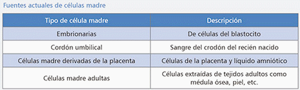 Biotecnología: una arma eficaz ante el reto del vPRRS (Parte II) - Image 6