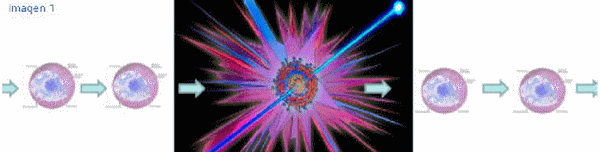 Biotecnología: una arma eficaz ante el reto del vPRRS (Parte II) - Image 2