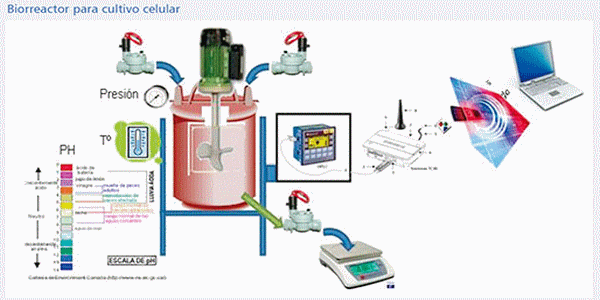 Biotecnología: una arma eficaz ante el reto del vPRRS (Parte II) - Image 8