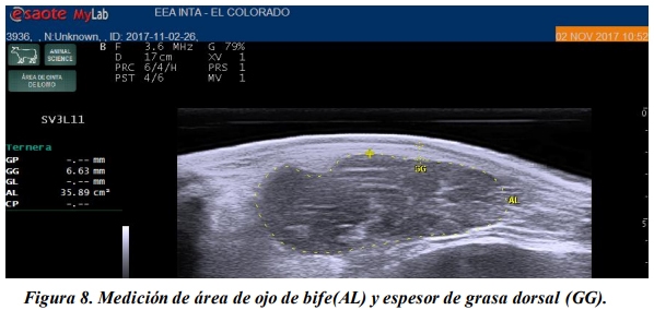 Evaluación de la inclusión de taninos en la dieta de novillos engordados a corral. Eficiencia productiva. - Image 11