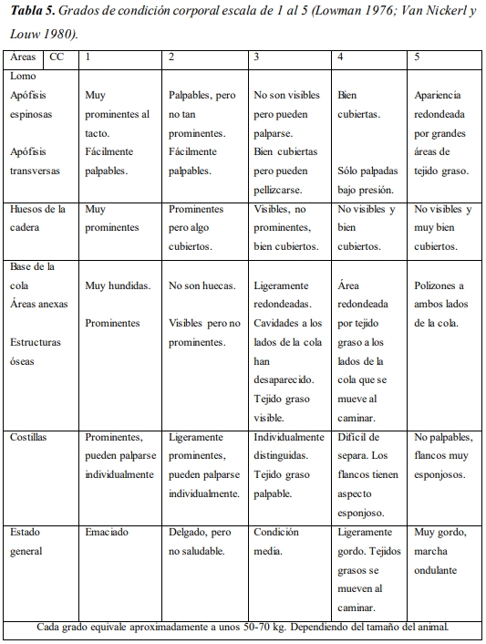 Evaluación de la inclusión de taninos en la dieta de novillos engordados a corral. Eficiencia productiva. - Image 12