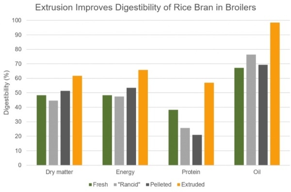 El Salvado de Arroz Extruido promueve la Salud intestinal cuando se eliminan los antibióticos de las dietas para animales - Image 2