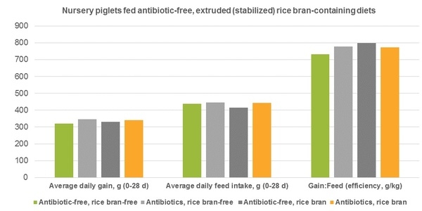 El Salvado de Arroz Extruido promueve la Salud intestinal cuando se eliminan los antibióticos de las dietas para animales - Image 1