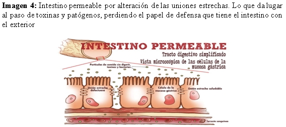 Gestión y manejo del cebo en ganado porcino - Image 11